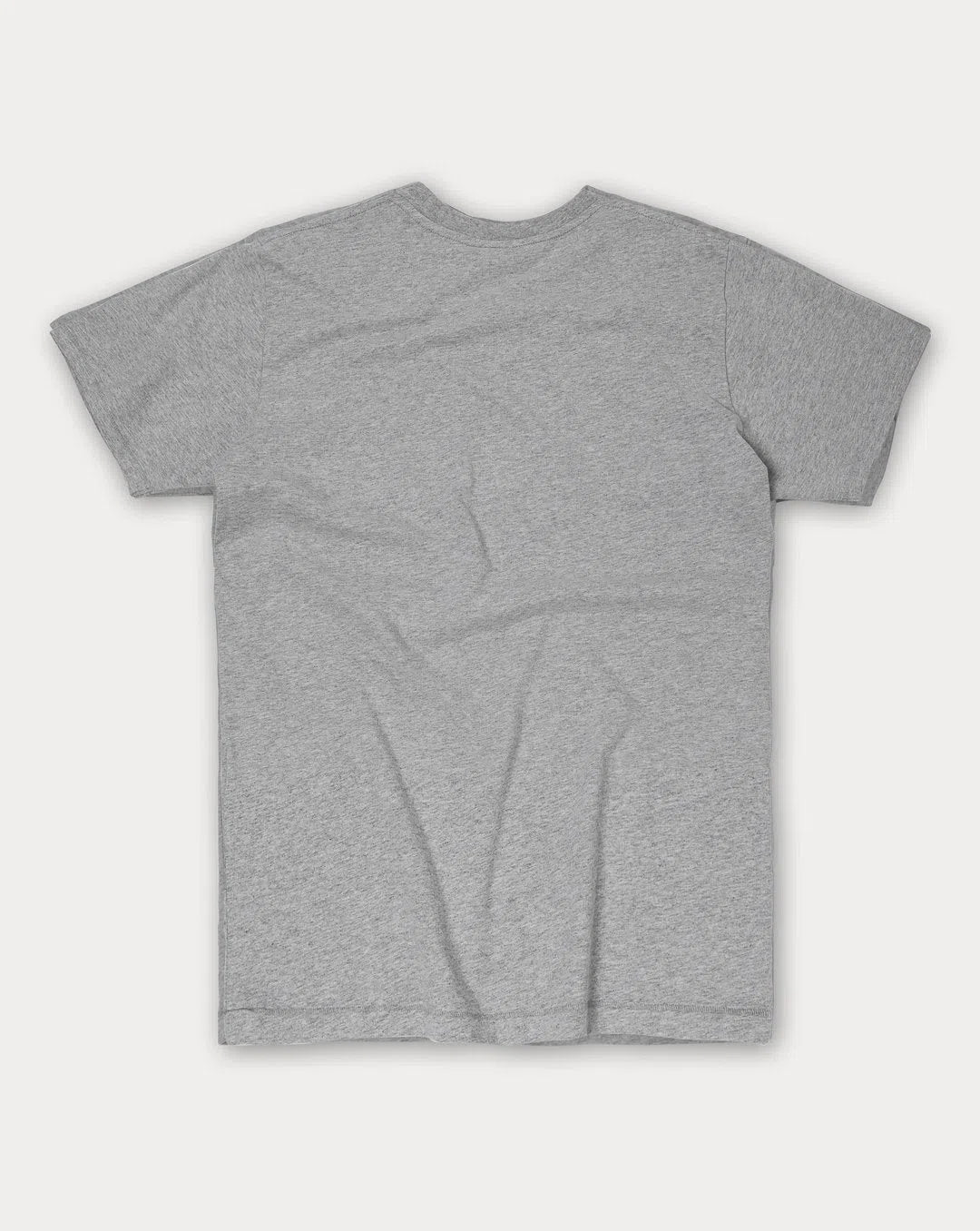 ERSTWHILE Tshirt Waaier TDF - Light Grey-T-Shirts-