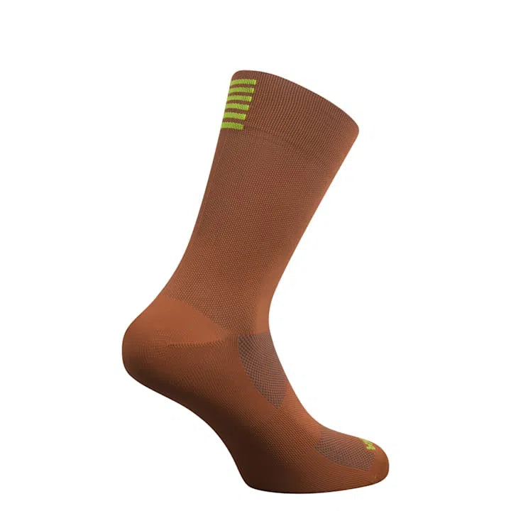 RAPHA Pro Team Socks Regular - TSC Old Gold/ Dark Navy-Velodrom