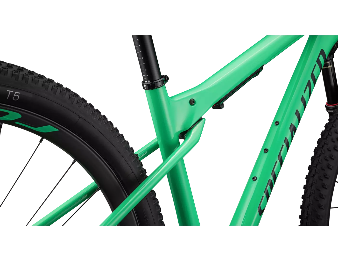 SPECIALIZED Epic WC Expert SRAM GX AXS Complete MTB - Gloss Electric Green / Forest Green Pearl-Complete MTB Bikes-