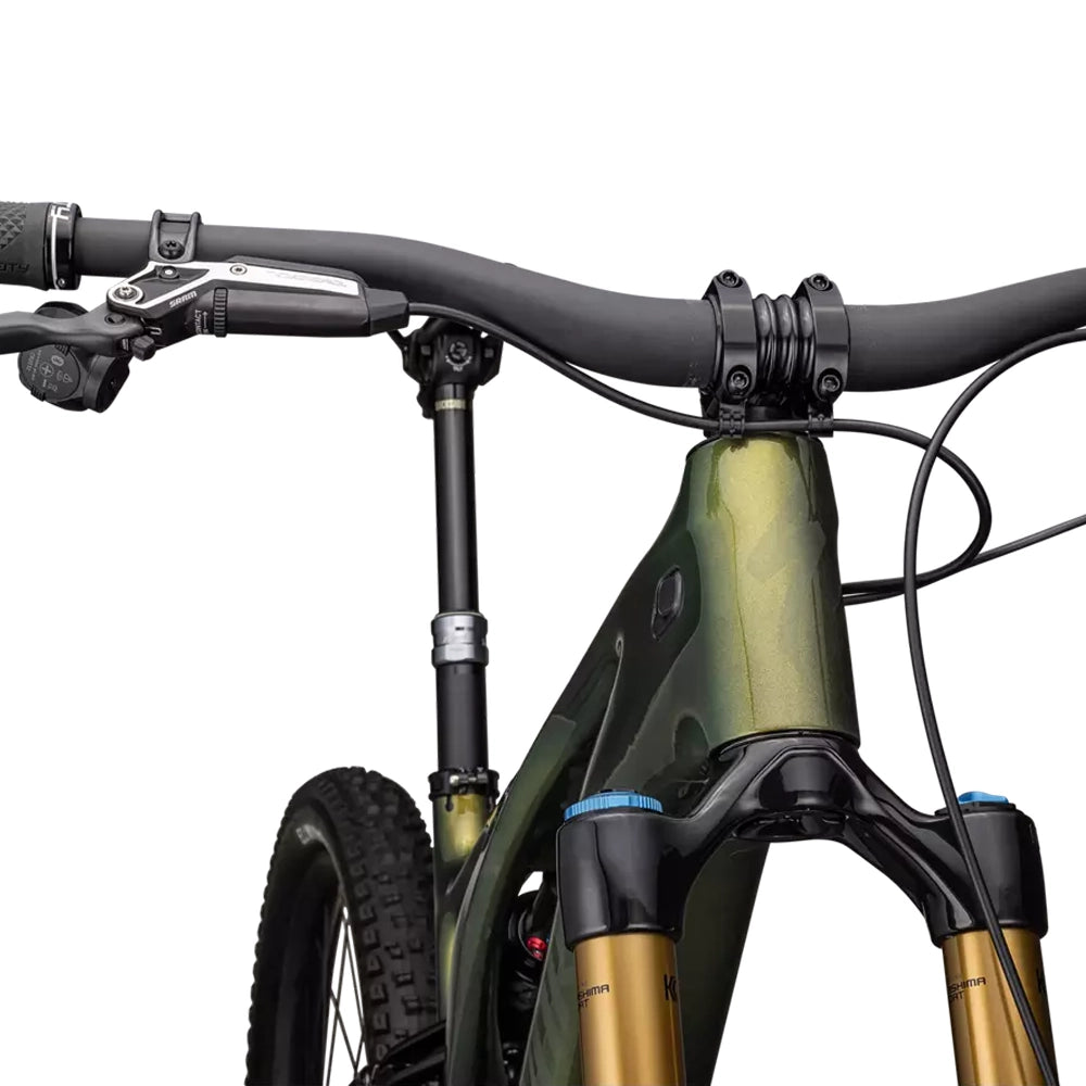 SPECIALIZED SWorks Turbo Levo Complete MTB Ebike - GLOSS GOLD PEARL OVER CARBON / CARBON / GOLD PEARL OVER CARBON-Complete E-MTB Bike-